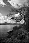 Bonnie banks o\\\'Loch Lomond