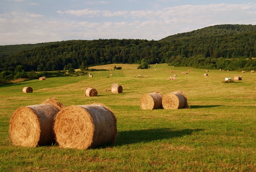 BEDNARKA (Beskid Niski)