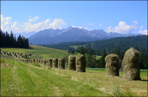 Tatry