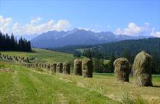 Tatry