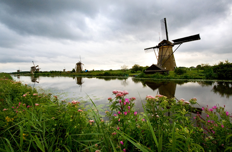 Kinderdijk