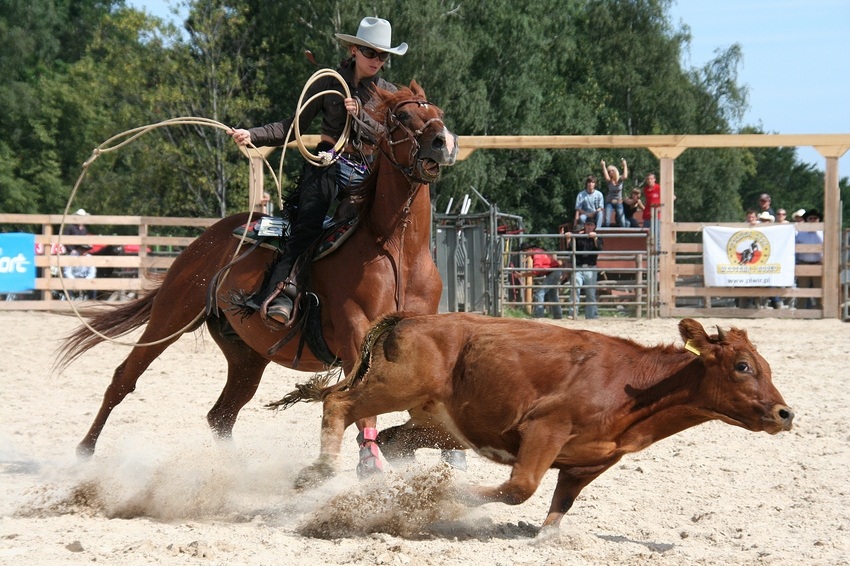 Calf Roping