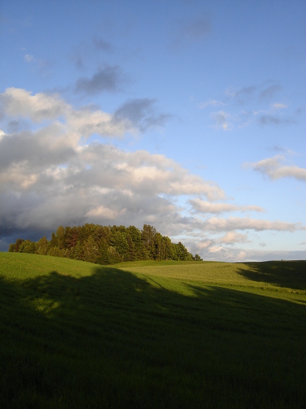 Mazury