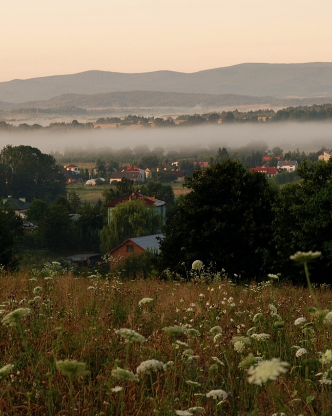 PRZYSIEKI