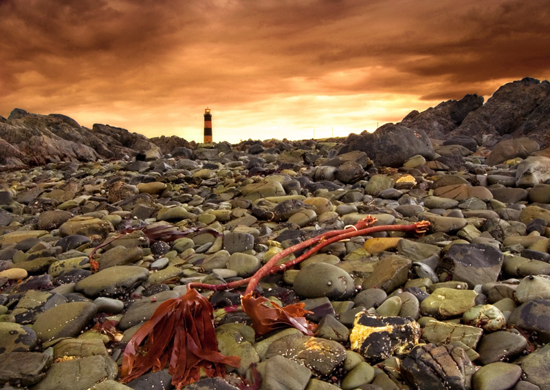 St. John's Point