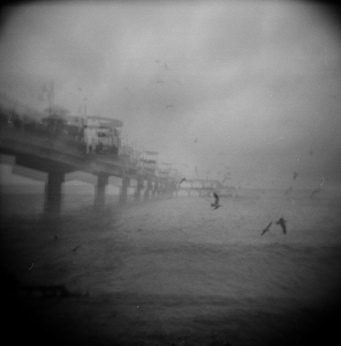 holga