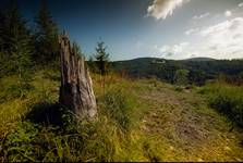 ...beskid śląski...