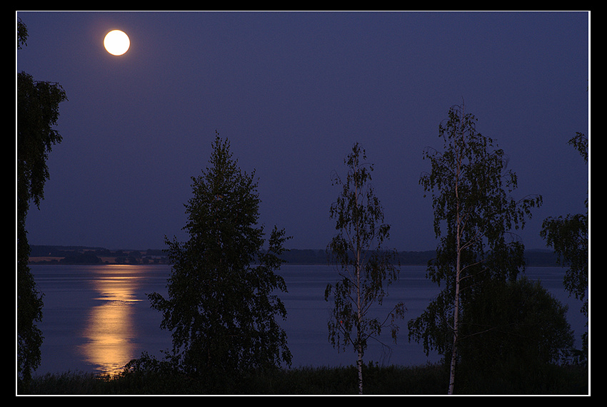 Niegocin nocą