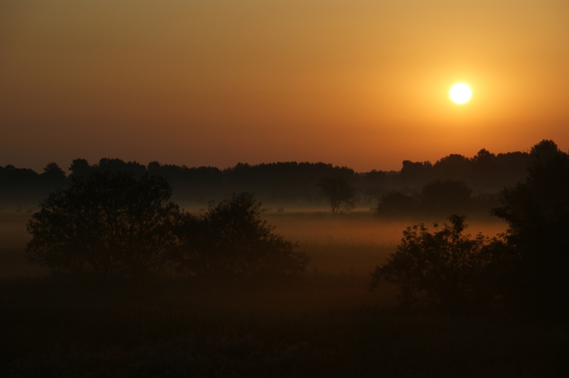 sunrise at your back door