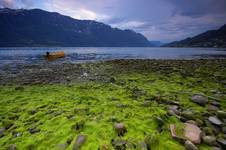 Sognefjord