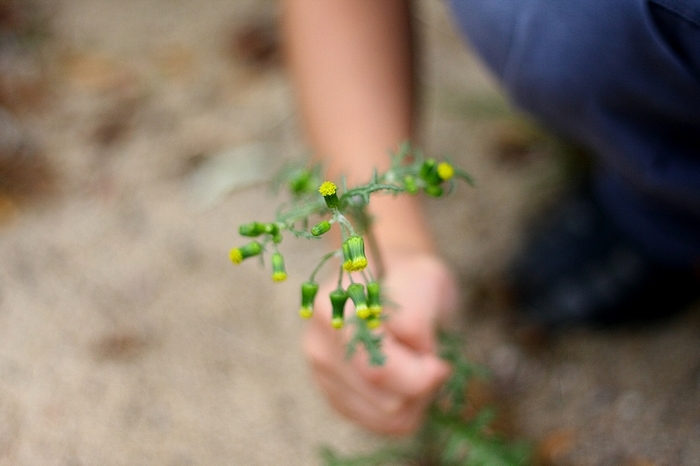 so precious in your hand