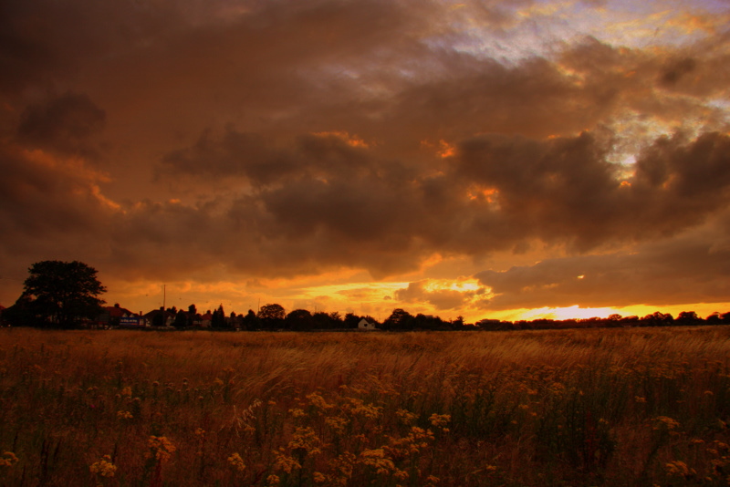 Hounslow Fields....