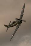 Seafire