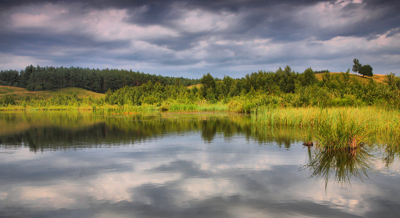 Linówek HDR