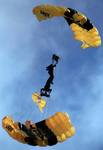 US Army Golden Knights