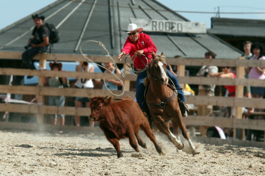 Calf Roping