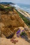 aż po kres...La Jolla Park, San Diego