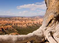 Bryce Canyon 2008