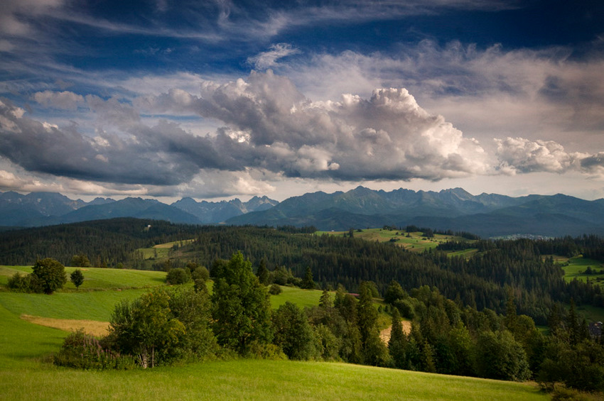 Tatry widok z Bukowiny T