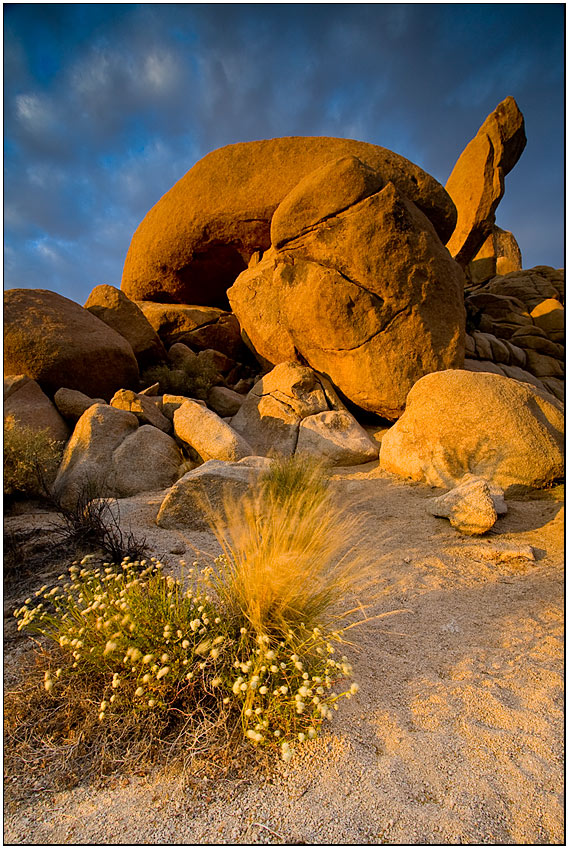 golden hours in Hidden Valley