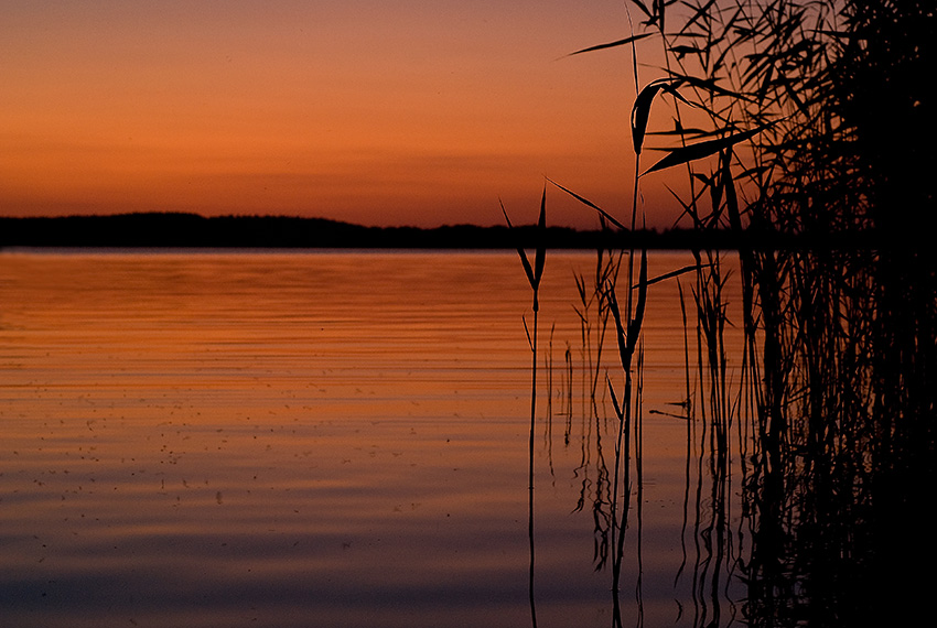 Mazury