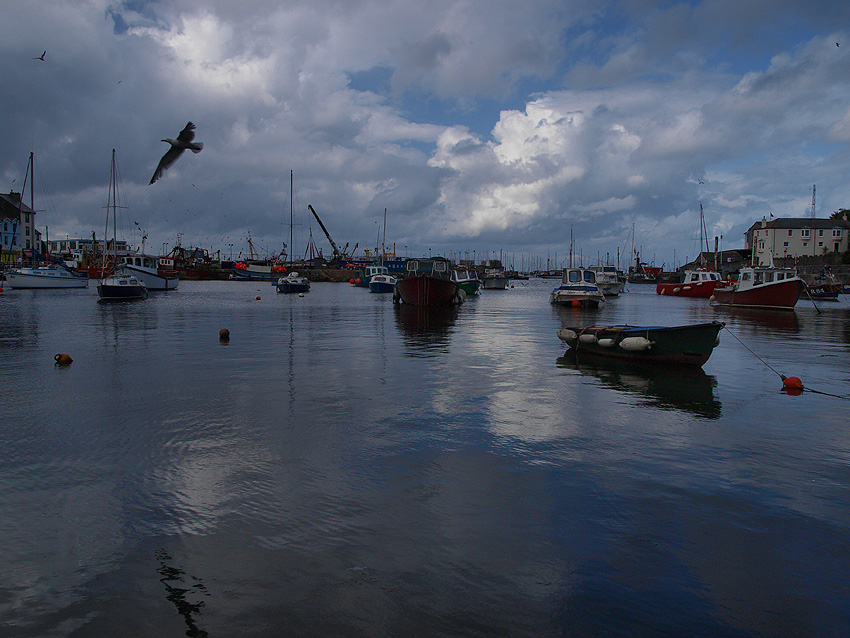 Brixham (4)