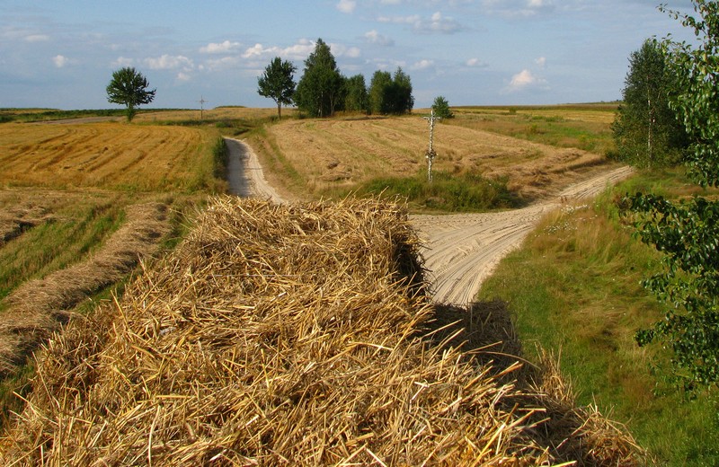 Widok z przyczepy.