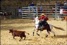 Zawody Jeździeckie Rodeo Show - Wieściszowice 2009