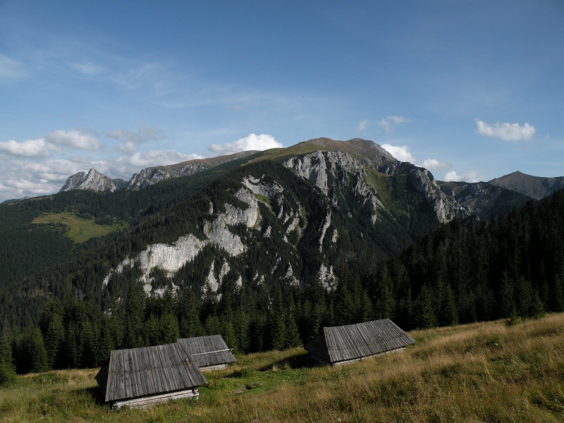 Polana na Stołach