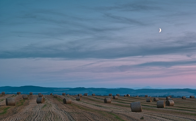 Sunset in Foveon Colors.