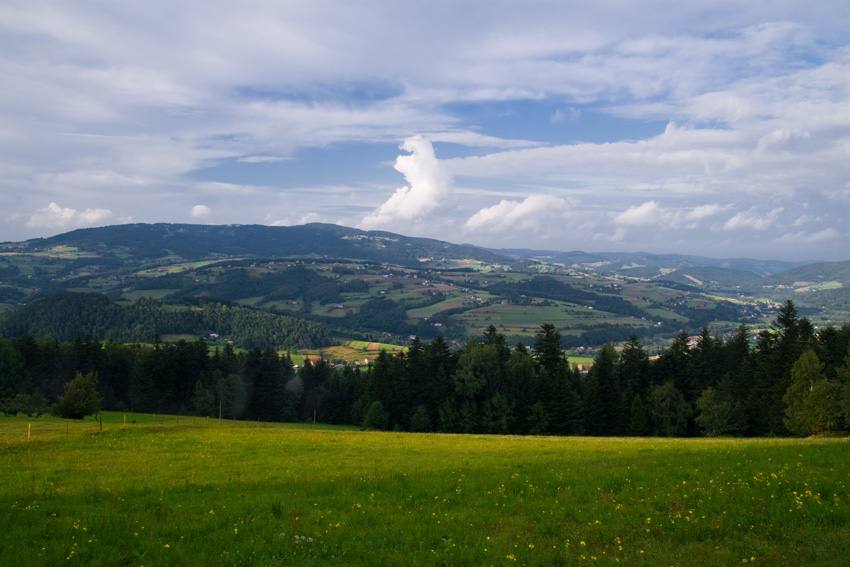 Pocztóweczka z Paproci (Beskid Wyspowy)