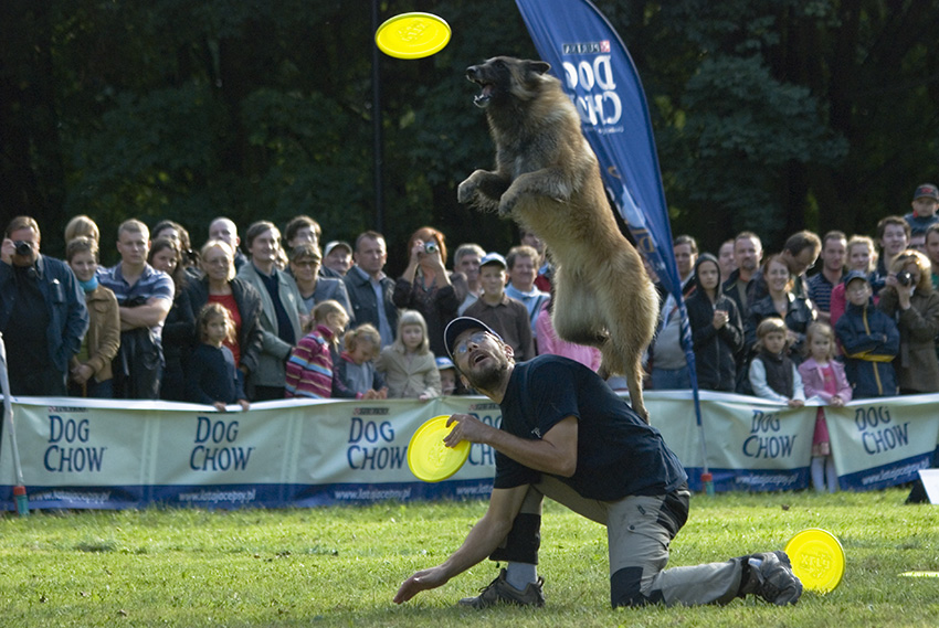 Frisbee