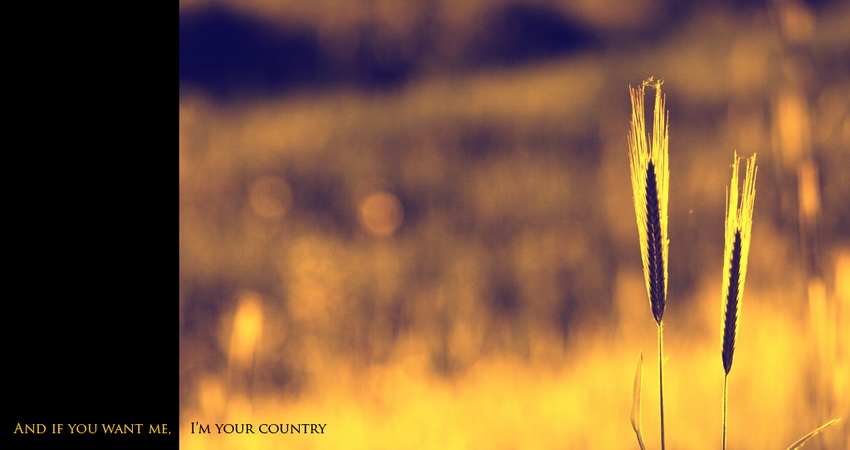 Im your Country