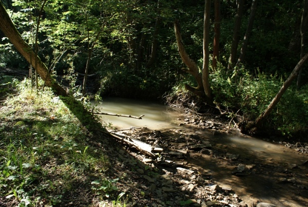 bieszczady