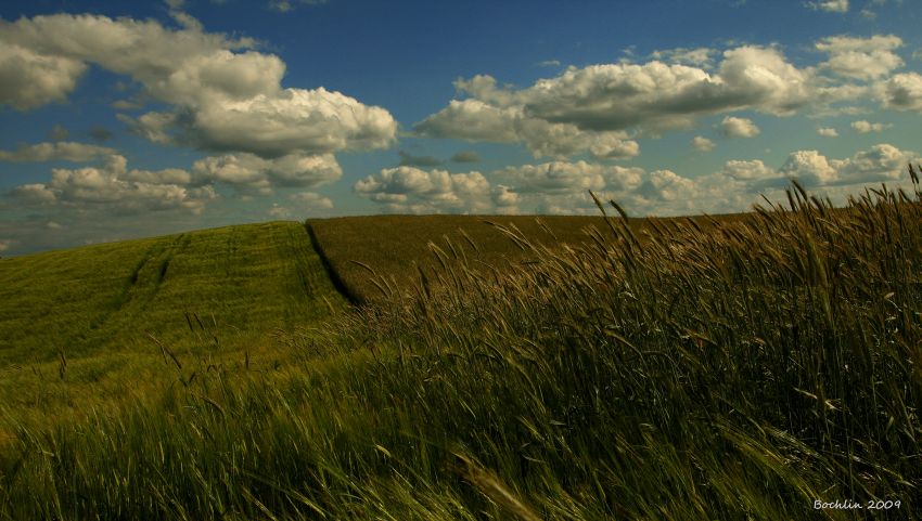 Nadwiślański Park Krajobrazowy