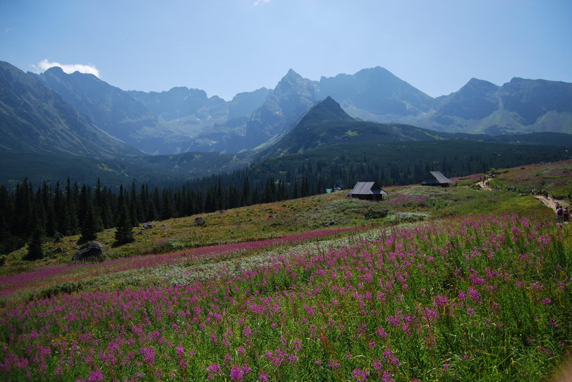 Krajobraz Tatry 2009