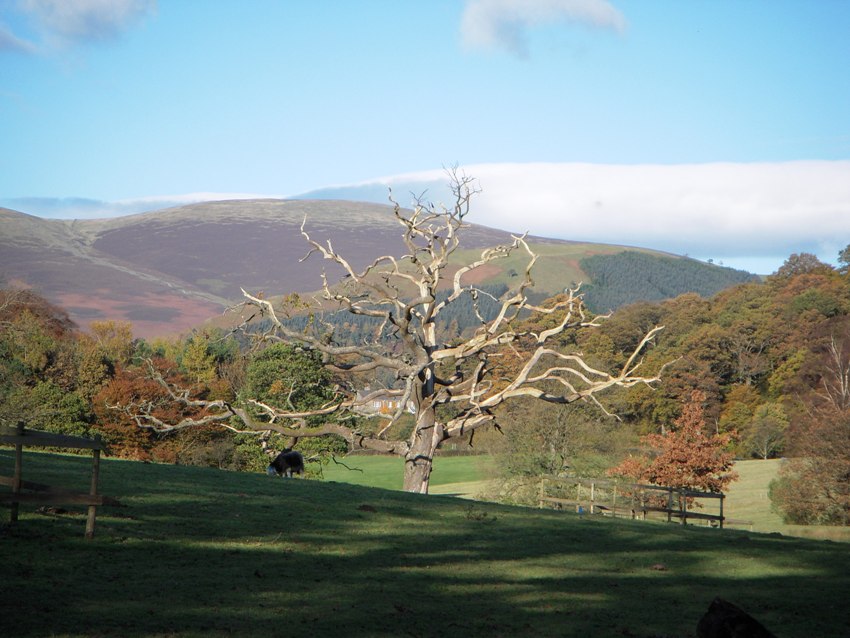 Lake District c.d