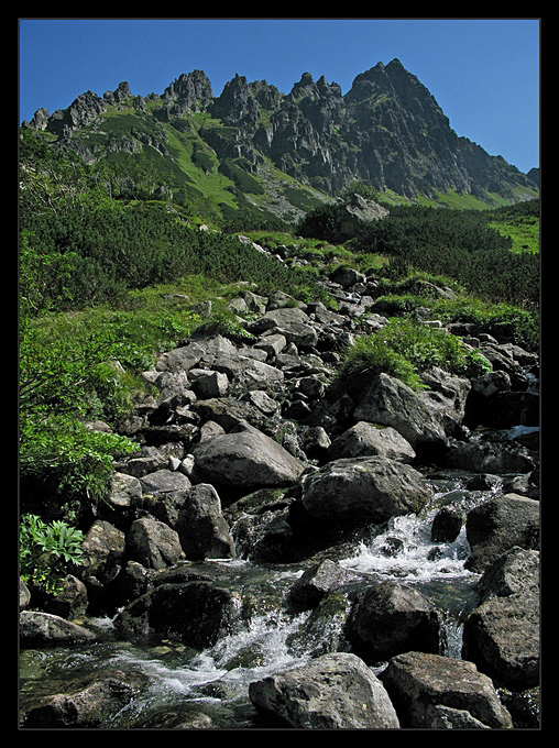 Water is coming from the mountain...(Trebunie-Tutki/Twinkle Brothers)