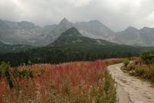 Tatry