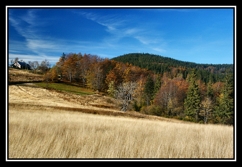 Przegibek