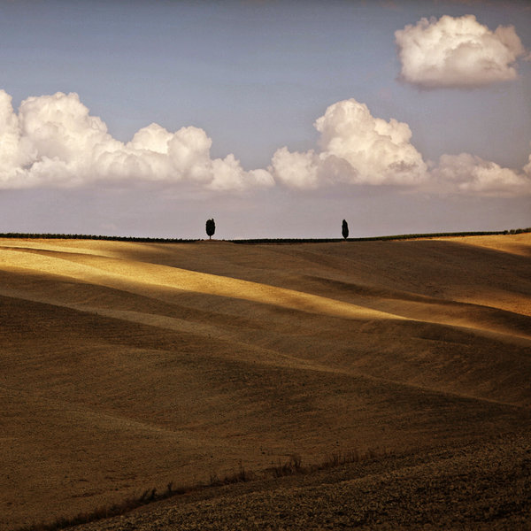 sole di toscana 3090