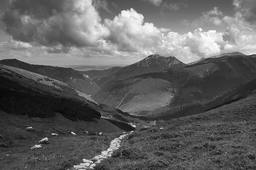 Tatry Zachodnie - w drodze na Rakoń