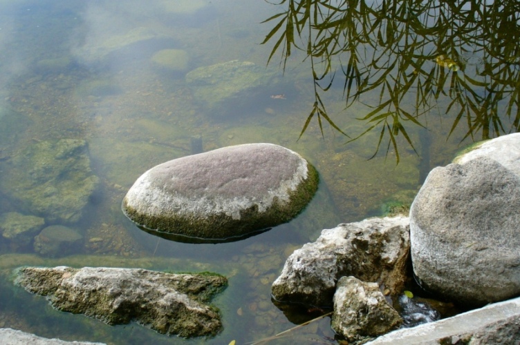 bezloga