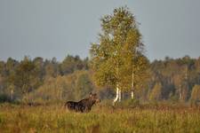 Umówił się i nie przyszedł - wszyscy tacy sami