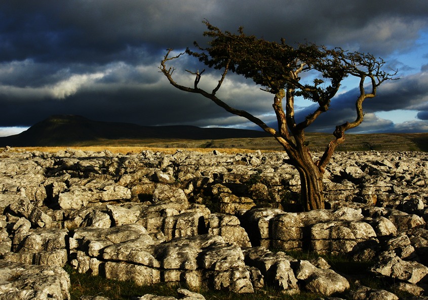 Ingleton- c.d.