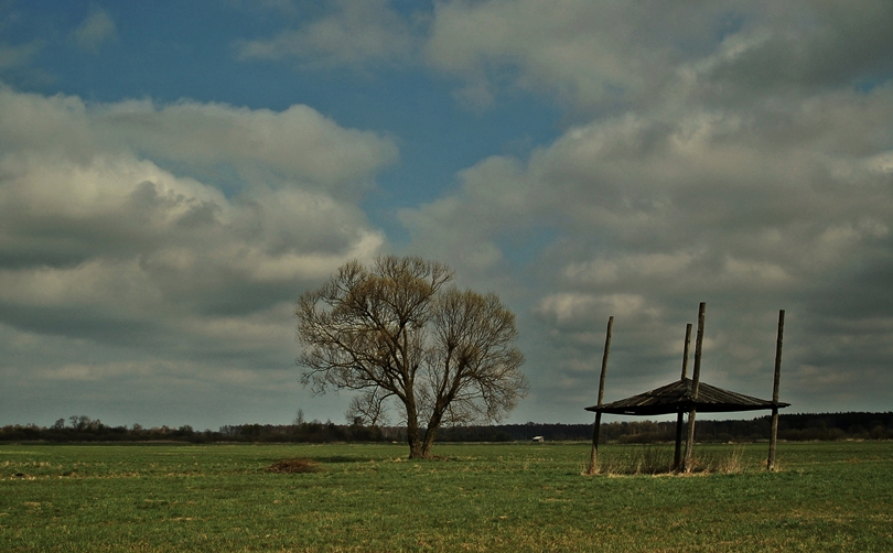 Ginące Podlasie - Bróg