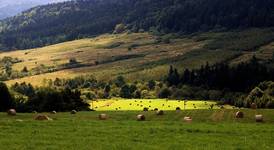 Szklary (Beskid Niski)