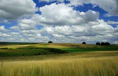 avebury4