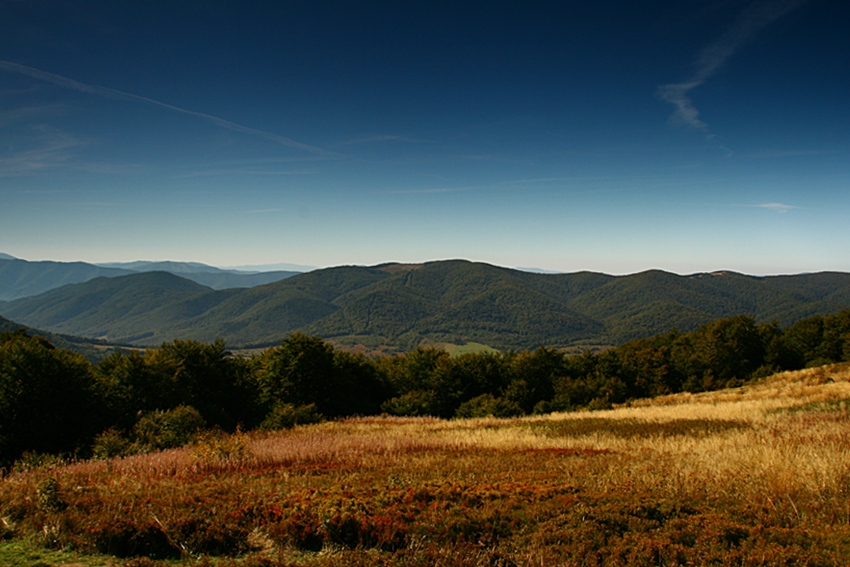 BIESZCZADY