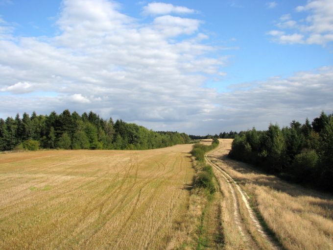 Roztoczańska droga